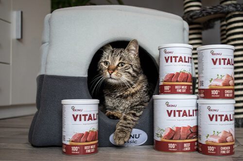 Vitality kočka